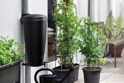 elho Green Basics Rain Catcher 35ltr Living black - afbeelding 3