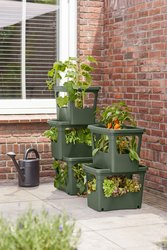 elho green basics stack & grow large blad groen - afbeelding 5