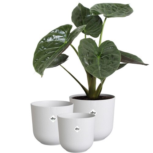 Elho Jazz Rond - Bloempotten voor Binnen - 100% Gerecycled Plastic - Set van 3 - Ø 14, 16, 19 cm - Z