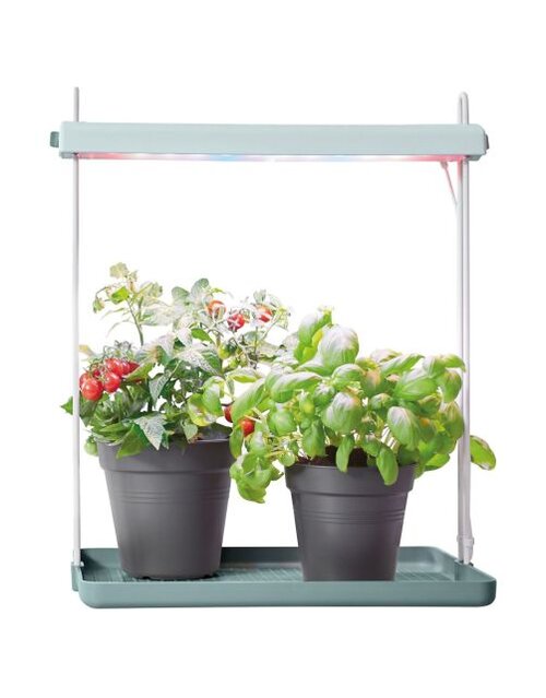 Elho Licht tray garden blad groen