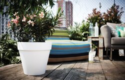 elho loft urban rond wielen 50 wit - afbeelding 3