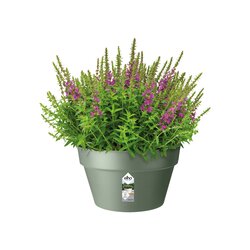 Elho Loft Urban Schaal pistachegroen 25cm - afbeelding 2