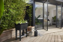 Elho Noa Kweektafel - Plantenbak - Kleur: Living Black - Kweken En Oogsten - L 38.7 x W 78.5 x H 34. - afbeelding 1