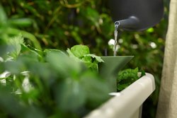 Elho Noa Kweektafel - Plantenbak - Kleur: Warm Grijs - Kweken En Oogsten - L 38.7 x W 78.5 x H 34.2 - afbeelding 3