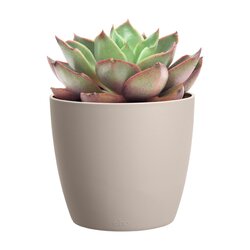 Elho Pot brussels d12.5cm paddenstoel beige - afbeelding 2