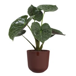 Elho Pot jazz d35cm dark burgundy - afbeelding 2