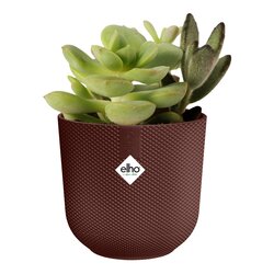 Elho Pot jazz mini d11cm dark burgundy - afbeelding 2