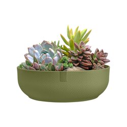 Elho Schaal jazz d28cm may green - afbeelding 2