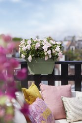 elho vibia campana flower bridge 40cm pistachegroen - afbeelding 4