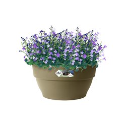 elho vibia campana schaal 34cm saliegroen - afbeelding 2