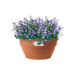 elho vibia campana schaal 34cm terra - afbeelding 2