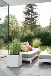 elho vivo next vierkant 40cm wit - afbeelding 5