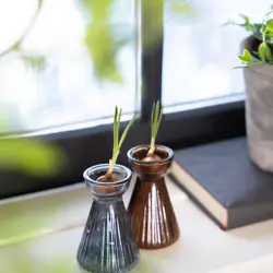 esschert Bollenvaas glas ribbel krokus ass. - afbeelding 2