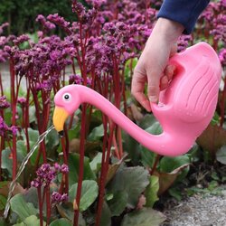 Esschert Design flamingo gieter - afbeelding 2
