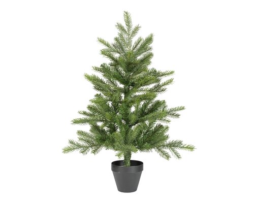 everlands Grandis mini boom binnen - afbeelding 1