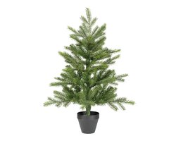 everlands Grandis mini boom binnen