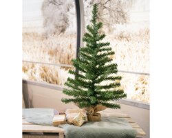 Everlands Imperial mini boom binnen - afbeelding 3