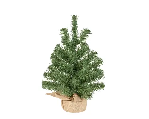 Everlands Imperial mini boom binnen dia25cm x H.35cm - afbeelding 1