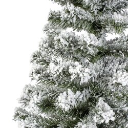 Everlands Imperial mini boom snowy binnen - afbeelding 2