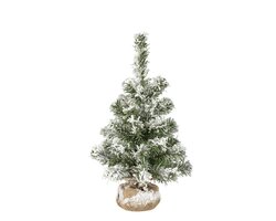 Everlands Imperial mini boom snowy binnen - afbeelding 1