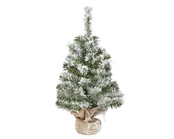 Everlands Imperial mini boom snowy binnen - afbeelding 1