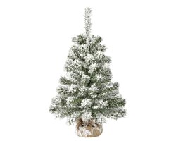 Everlands Imperial mini boom snowy binnen - afbeelding 1