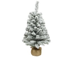 Everlands Imperial mini boom snowy h75 cm 