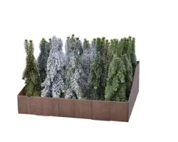 Everlands Mini boom assorted 5ass binnen dia5cm x H.20cm - afbeelding 2