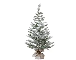 Everlands Mini boom binnen dia50cm x H.100cm