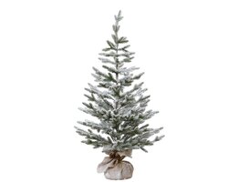 Everlands Mini boom binnen dia60cm x H.120cm