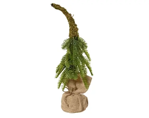 Everlands Moss forest mini boom binnen fsc mix 100% dia10cm x H.35cm - afbeelding 1