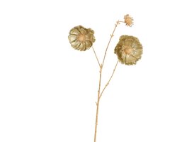 Everlands Papaver polyester glitter 2 flower heads 1 bud with gold stem