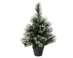 Everlands Sandia mini boom binnen dia33cm x H.45cm