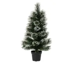 Everlands Sandia mini boom binnen dia35cm x H.60cm