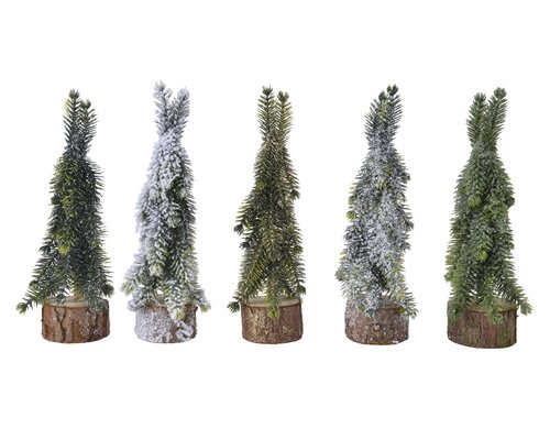 EverlandsMini boom assorted 5ass binnen
