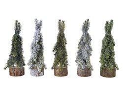 EverlandsMini boom assorted 5ass binnen