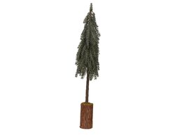 EverlandsMini boom icy binnen