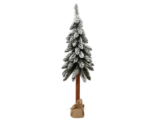 EverlandsTora boom binnen fsc 100%