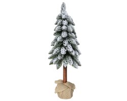 EverlandsTora boom snowy binnen