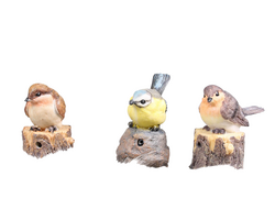 Farmwood Vogel m/muziek l9b6h10cm 3 assorti