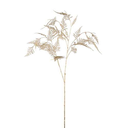 PTMD Fern Plant Gold aparagus spray - afbeelding 1