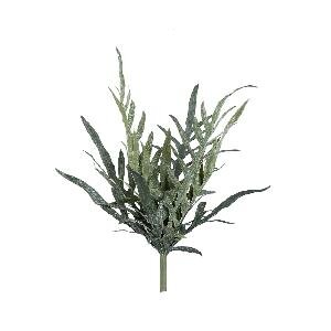 PTMD Fern Plant Green java fern bush S