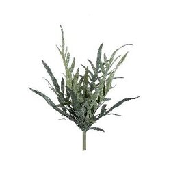 PTMD Fern Plant Green java fern bush S