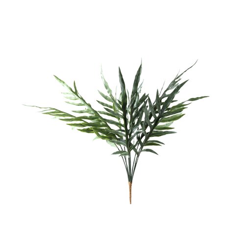 PTMD Fern Plant Green thread fern leaf bush - afbeelding 1
