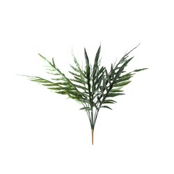 PTMD Fern Plant Green thread fern leaf bush - afbeelding 1