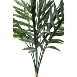 PTMD Fern Plant Green thread fern leaf bush - afbeelding 2