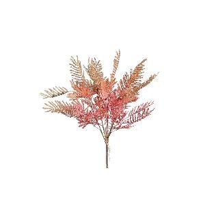 PTMD Fern Plant Orange fern bush