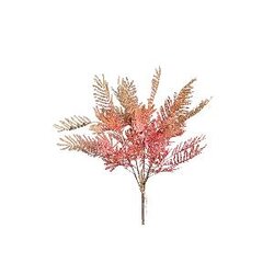 PTMD Fern Plant Orange fern bush