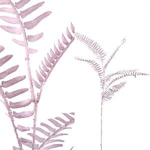 PTMD Fern Plant pink fern leaves spray