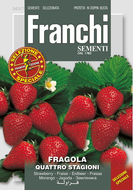 Fr Aardbei Fragola Quatro stagioni 63/1 - afbeelding 1